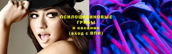 круглые Козельск
